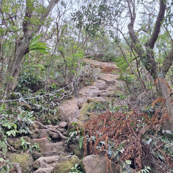 【貓貓自創路線】四獸山+南港山+九五峰+永春坡公園完成!2705814