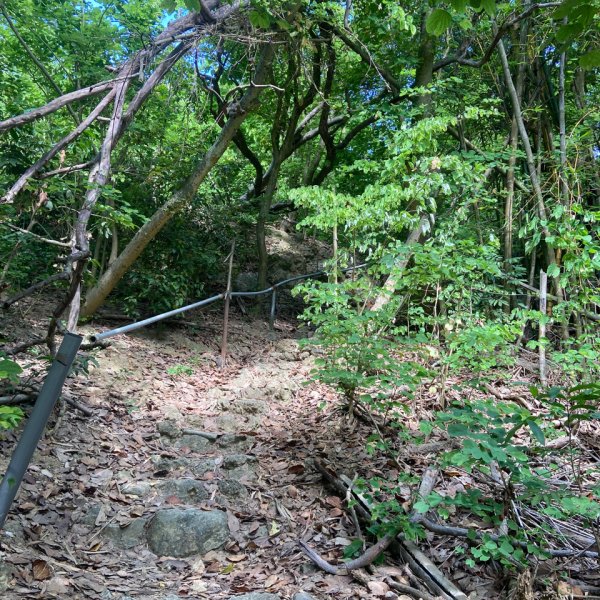 柴山，一年四季3085745
