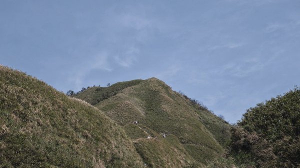 三角崙山-四歲小樂的第36座小百岳1281055
