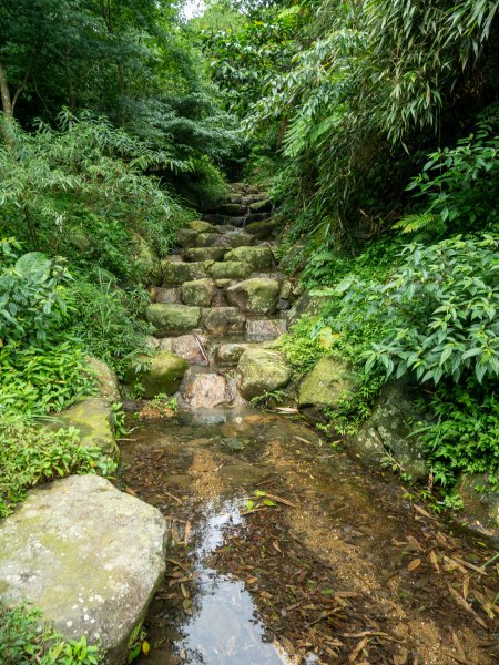 【行腳陽明山】初夏裡蒼翠欲滴的環七星山與百拉卡公路人車分道2188668