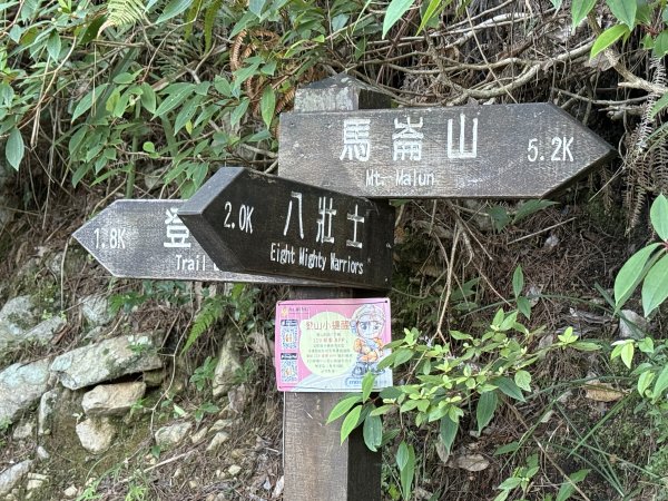 馬崙山 202509062889331