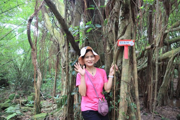 福卯古道-雪山尾稜北段-隆嶺古道2800015