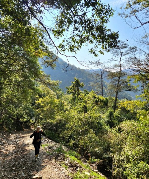 【中級山】邑治第一山，守城大山，連走守關山，守關山南峰2740890