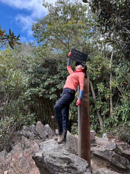 【谷關七雄】波津加(H1771.6m)肉腳配速成功2670579