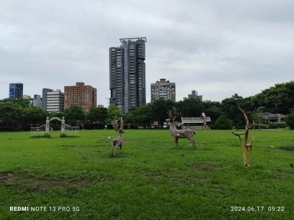 大安森林公園【走路趣尋寶，全臺齊步走】2529438