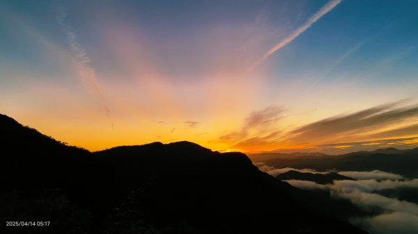#翡翠水庫壩頂 #日出雲海 #火燒雲 #霞光 #月圓 #松月櫻 #鱷魚島雲海 4/14 & 162760626