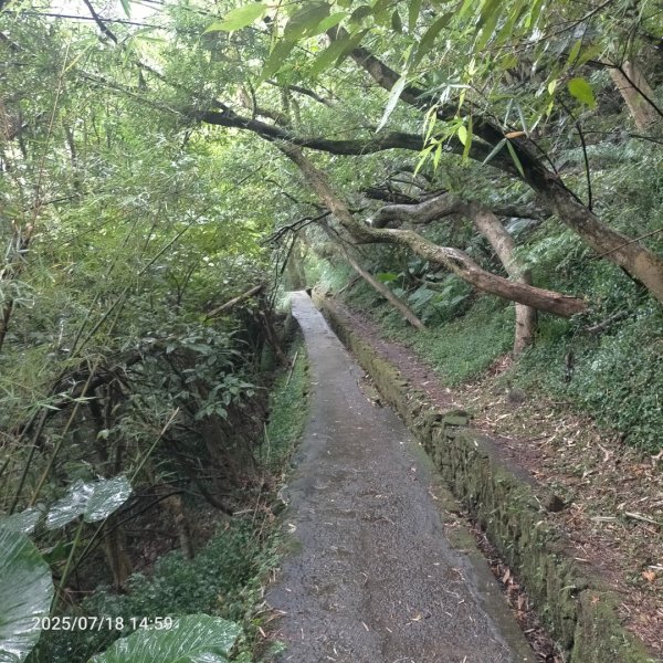 绢絲瀑布步道2840517