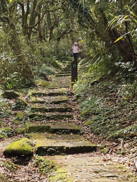 2026-0323 台北大縱走第一段3022626