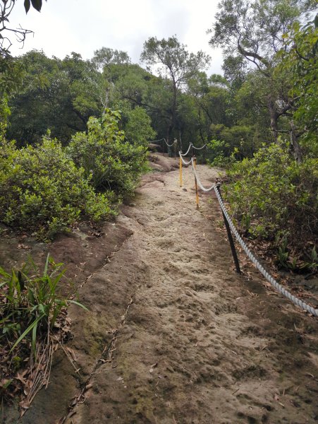 2025.09.07－金面山2880206