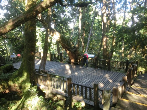 檜木原始林步道672703