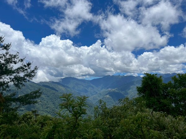 新竹 五峰 觀霧國家森林遊樂區 大鹿林道西線 榛山步道2811396