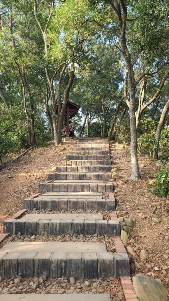 2026-0118新竹新埔文山步道2984647