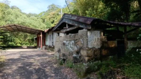 平溪區東勢格古道-咸豐嶺烽火台-峭壁雄峰-三抱竹鞍-白石後仙洞-東勢格古道P字走3126881