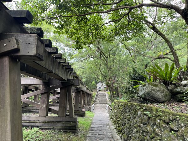 [全臺走路趣尋寶-35/100] 2024_0810_林田山林業文化園區步道2572037