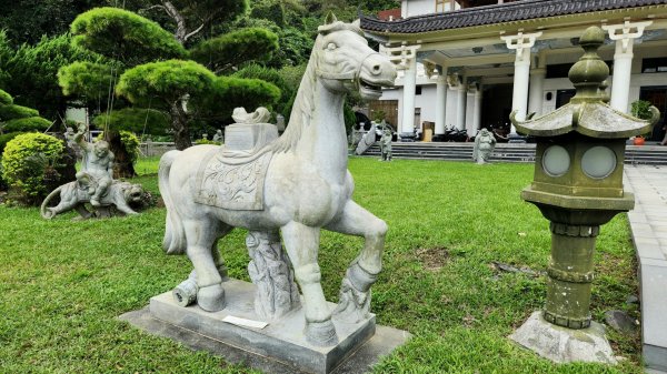 土城牛埔頭山，大安圳賞蝶步道，中和國旗嶺，鄧公嶺，長壽山，白馬寺，羊稠森林步道1901821