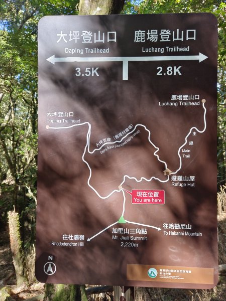 加里山（大坪登山口O繞）112/11/282362981