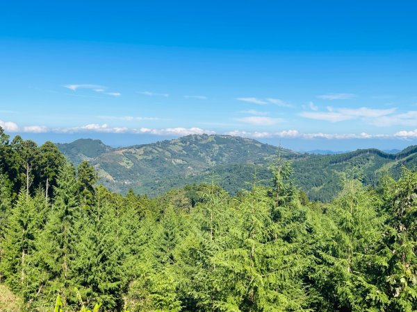 1141116油羅山2946417