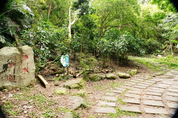 南投 仁愛 松風山3052493