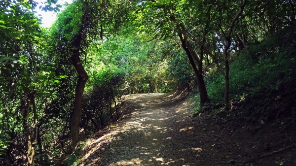 串珠步道,二砂灣砲台,大砂灣西東砲台,綠丘砲台,基隆塔2257503