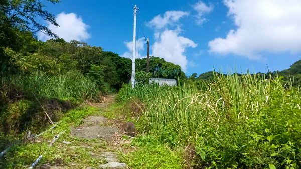 金山區大路崁古道-土地公步道-兩湖保甲路-水圳路3121307