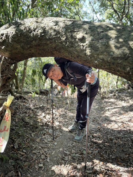 20260212 小百岳白雲山及西阿里關山3002899