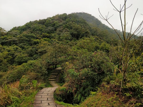 汐止大尖山O型路線(4座山頭+1個瀑布)808119