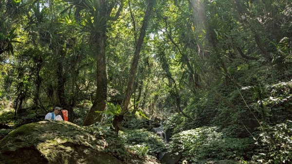 三角崙山、聖母登山（抹茶山）步道3067690