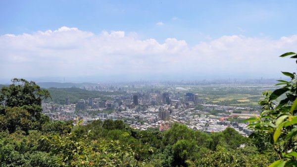 水磨坑古道,竹林古道2561786