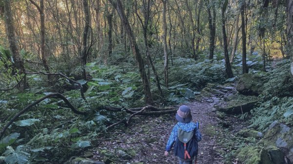 灣潭古道 & 北勢溪古道連走(淡蘭古道中路)2030141