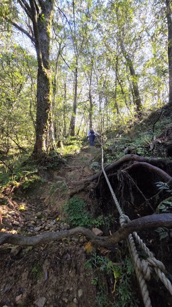東北季風起遊走雲瀑和山毛櫸間的啦卡山與北插天山登山行2951105