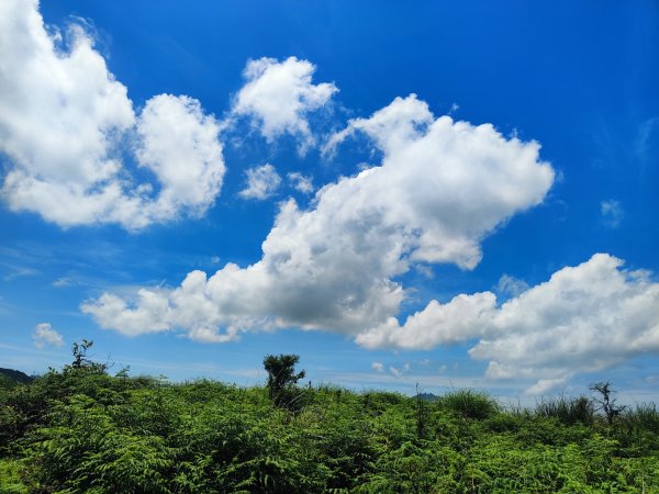 2025台北大縱走二刷2818065