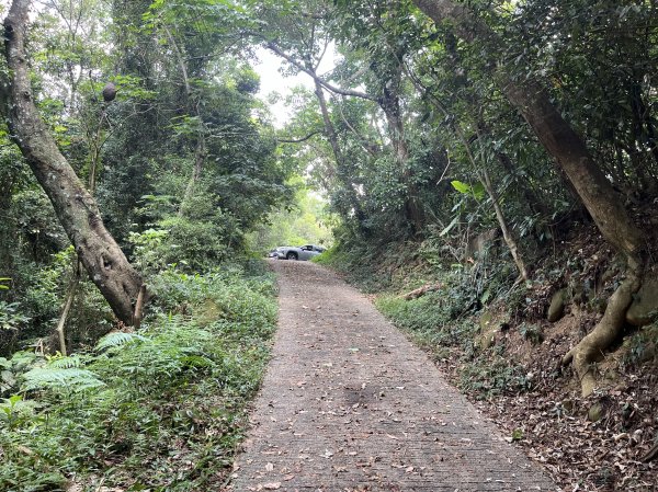 [皮皮獅Hike客任務-02/10] 2024_0720 渡南古道+飛鳳古道2557081