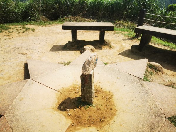 烈日當頭的南子吝2810049