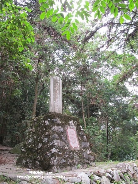 【台中。和平】 與大自然深呼吸。八仙山國家森林遊樂區步道群1427343