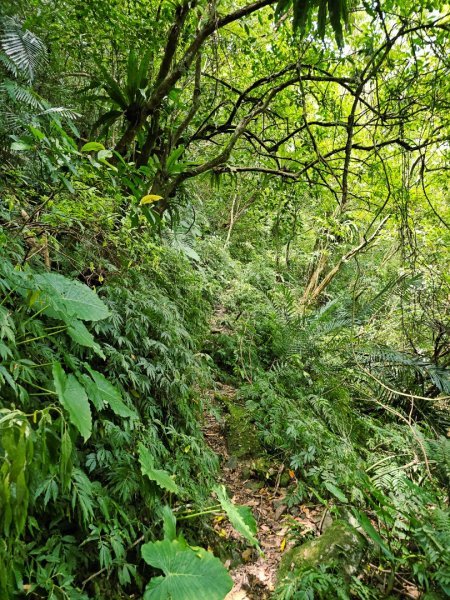 闊瀨古道/三水潭(淡蘭中路)-新北市坪林區2873797