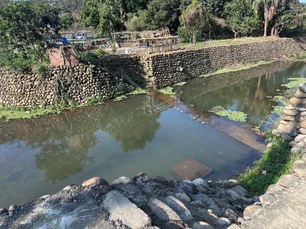 新竹湖口-畚箕窩溪濱水步道2717717