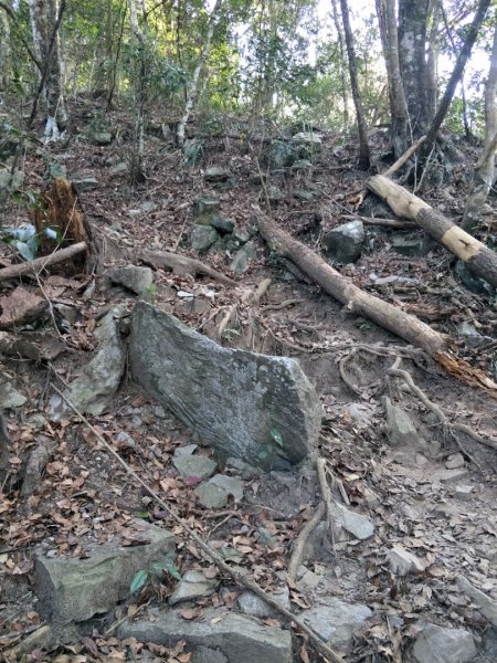 谷關七雄：八唐縱走(八仙山、唐麻丹山)1507564