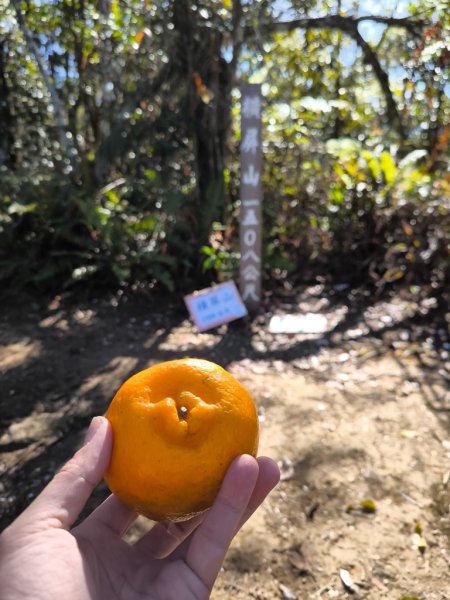 2025-12-21 武界山、獅凸魯山、橫屏山、橫屏山西峰2969702