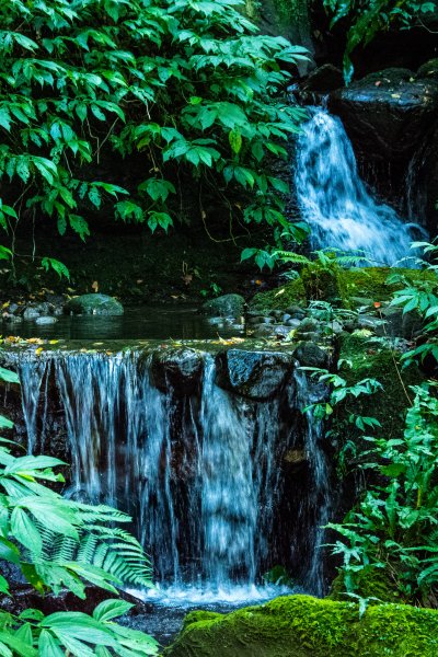 馬武督探索森林2930696