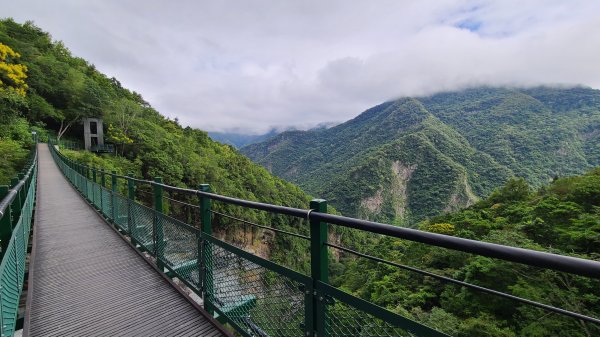 花蓮卓溪-瓦拉米步道1418148