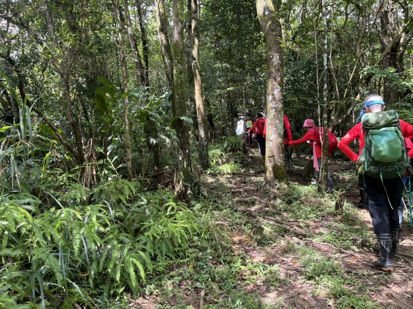 [微笑山線_第十二段] 2025_0803 五分山系_嶺腳寮山2851332