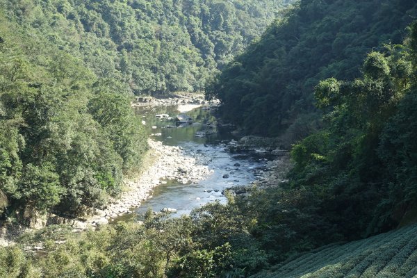 大舌湖步道 虎寮潭3086046