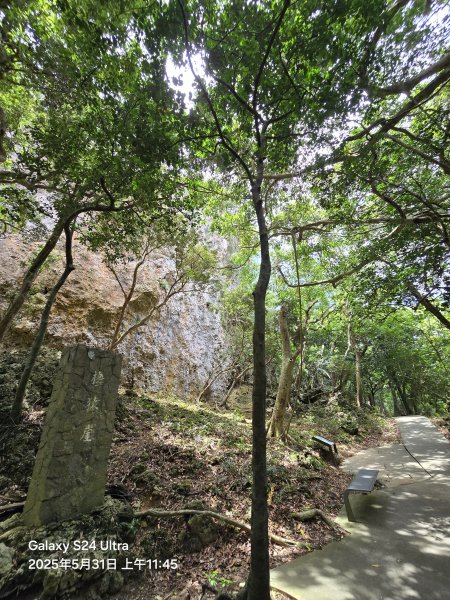 2025-05-31墾丁國家森林遊樂區步道群2801793