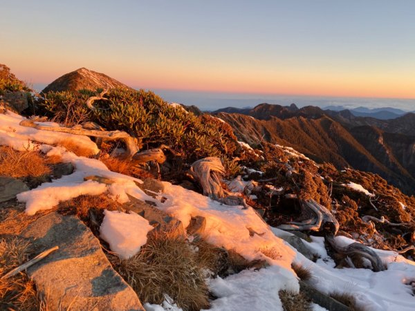 一個人的雪山778731