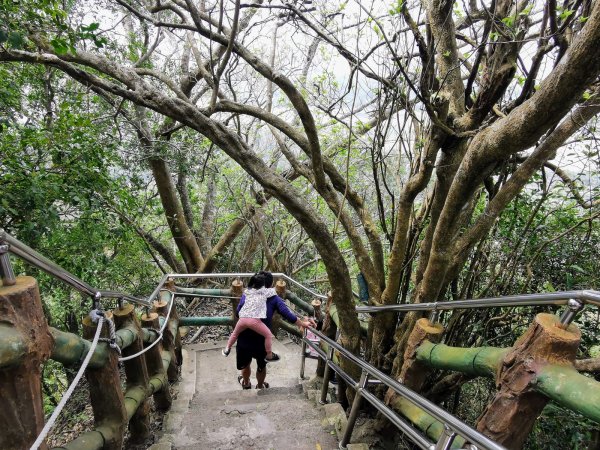 台南、高雄必訪步道：虎形山公園、大崗山、旗靈縱走、觀音山、半屏山、柴山 - 2022/2/131673561