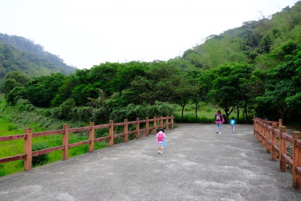 坑內坑森林步道901872