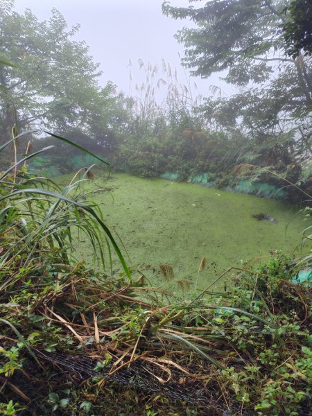 苗栗關刀山2975084