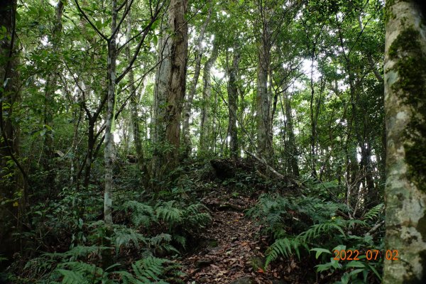 桃園 復興 夫婦山1751555