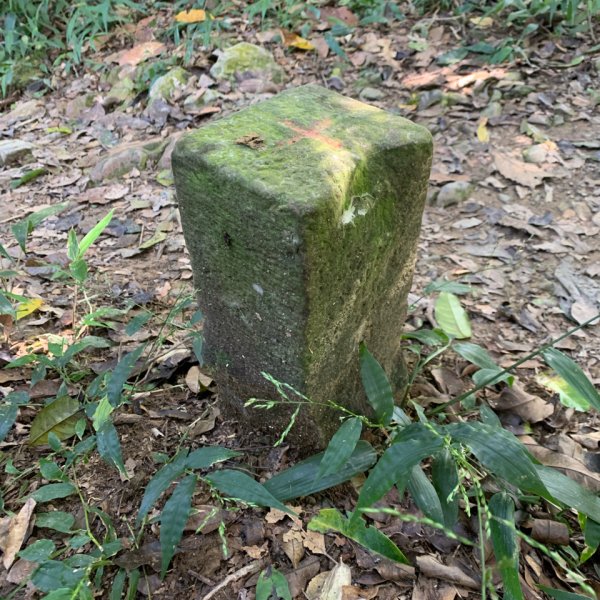 20251010高雄尾寮山-西北峰2913626