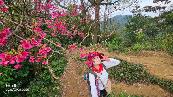 圓通寺烘爐地登山步道大O走3006986